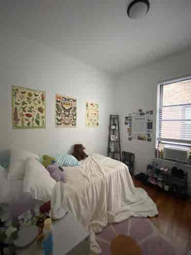 Room in Carnegie Hill Apt!