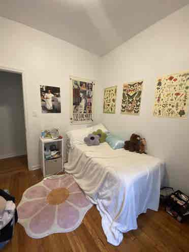 Room in Carnegie Hill Apt!