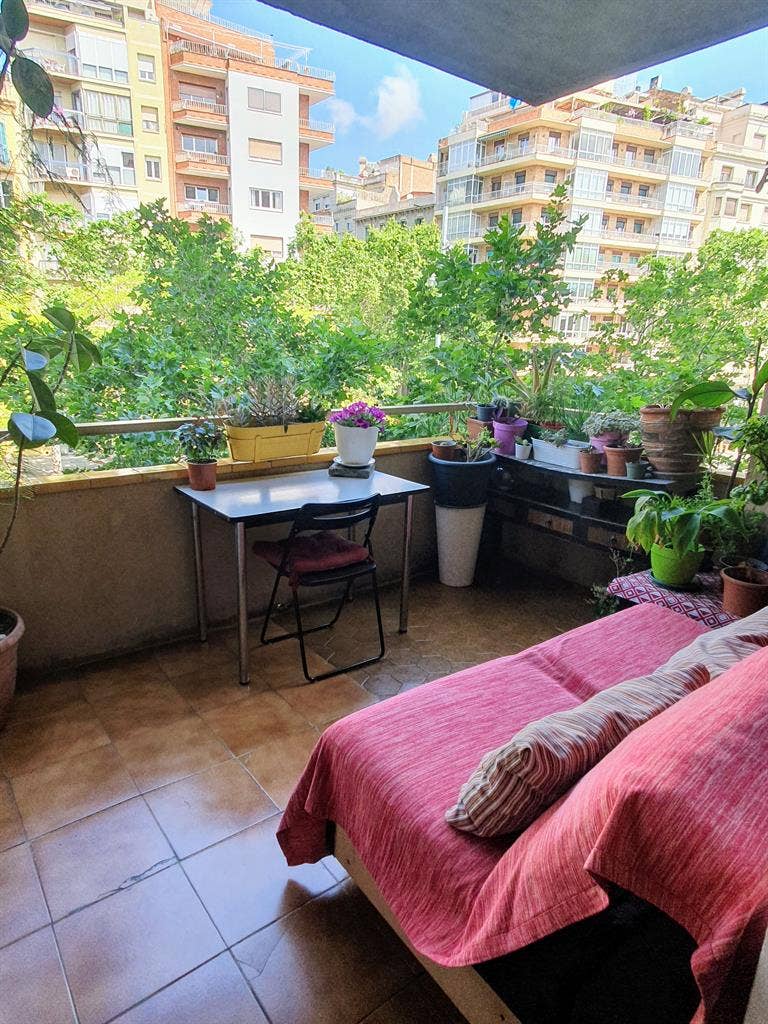 Habitación exterior en eixample