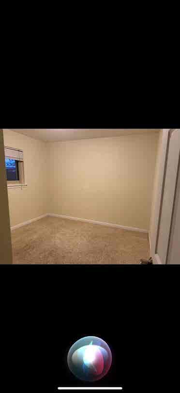 Looking for 3rd female roommate!