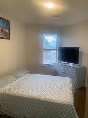 Cozy and ample bedroom for rent