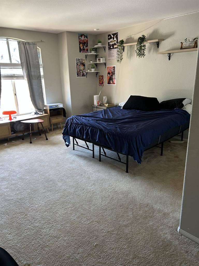 Nice room for rent Nice Area