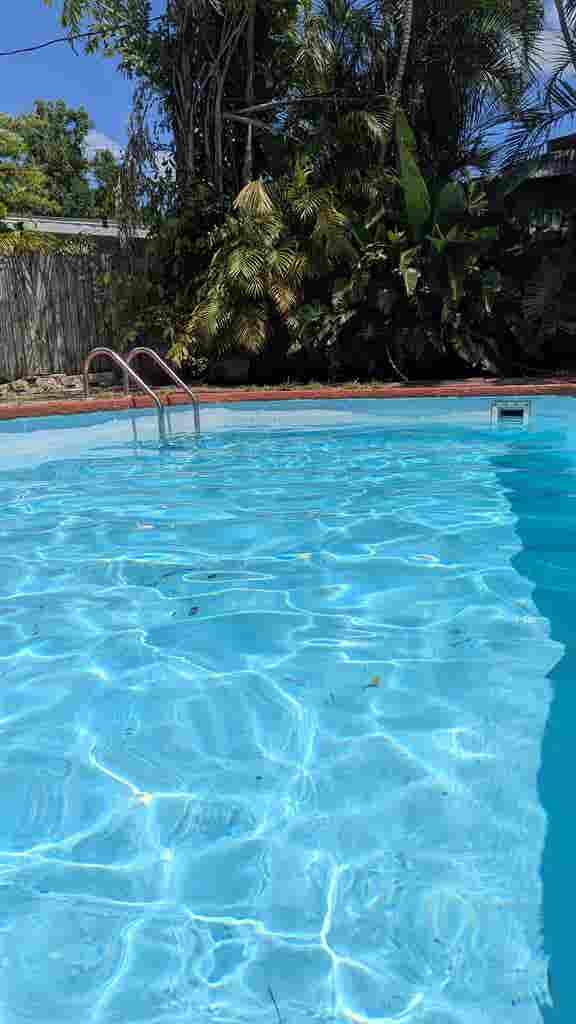 Roommate Wanted St Pete