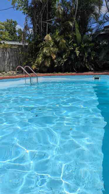 Roommate Wanted St Pete