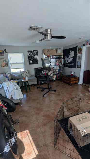 Roommate Wanted St Pete