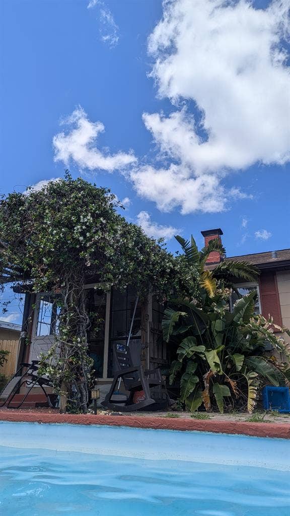 Roommate Wanted St Pete