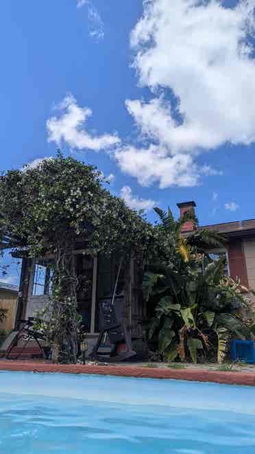 Roommate Wanted St Pete