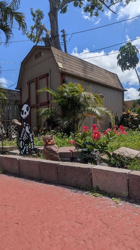 Roommate Wanted St Pete