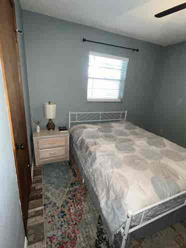 Quiet roommate on a horse property
