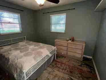 Quiet roommate on a horse property