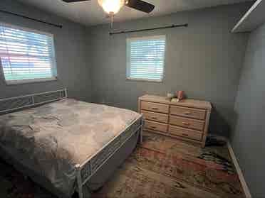 Quiet roommate on a horse property