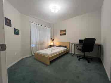 Single Room for Rent
