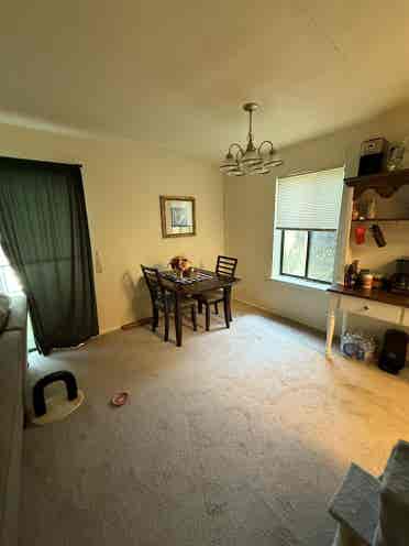 Room for rent in Dublin PA