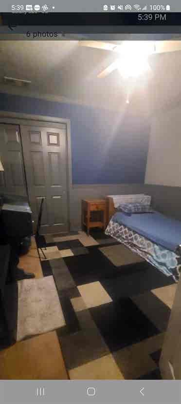 Bears house