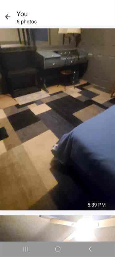 Bears house