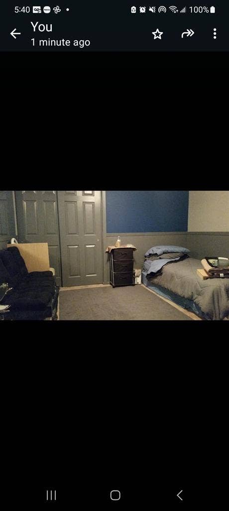 Bears house