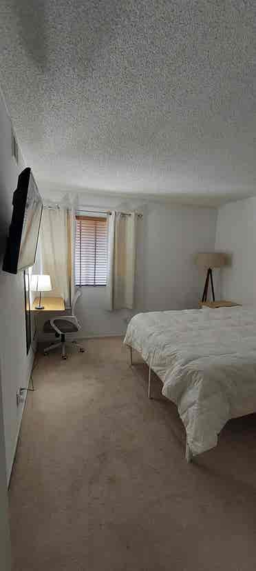 Cozy condo for single person