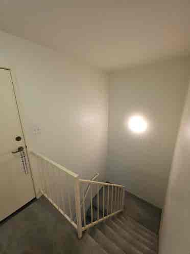 Roommate in split level apartment