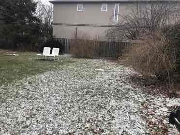 Bathurst/Wilson -BDRM in BSMT Rent