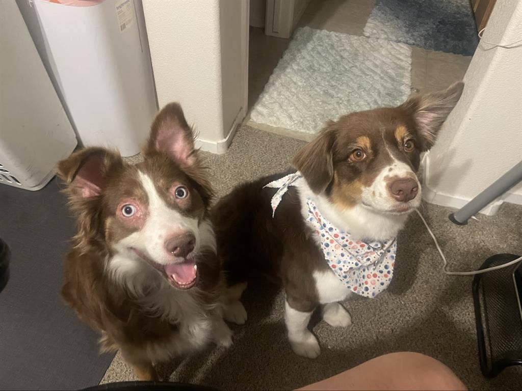 Furnished w/private bathroom