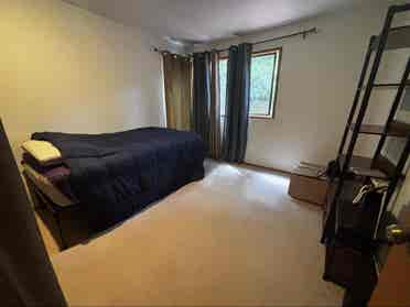 Bellevue Room for Rent