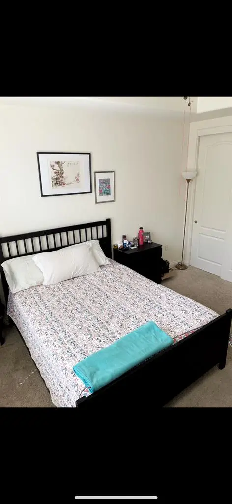 Female Roommate Wanted