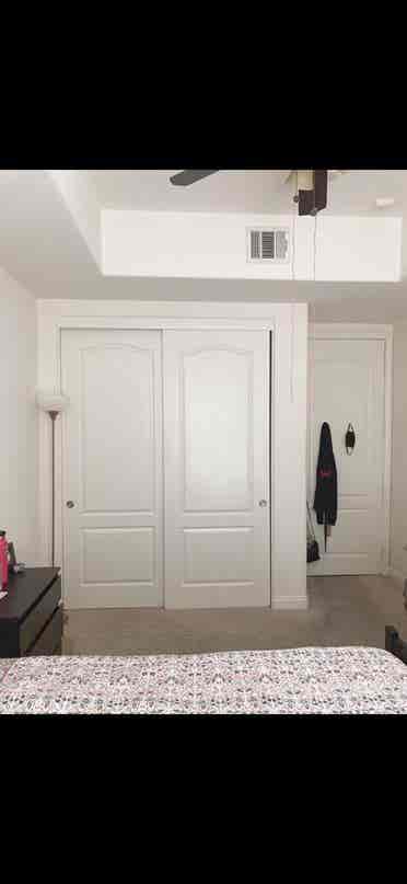 Female Roommate Wanted