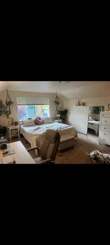 Large cozy master bedroom in Auburn
