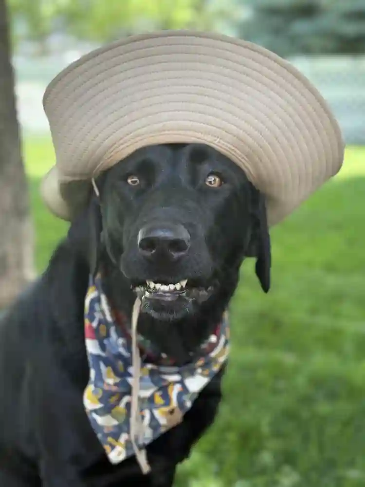 HUGE room/bath in beautiful area