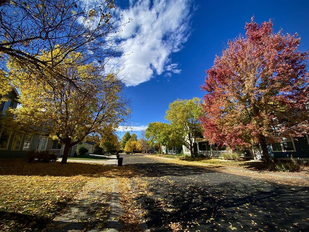 HUGE room/bath in beautiful area