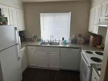Gay couple looking for roommate