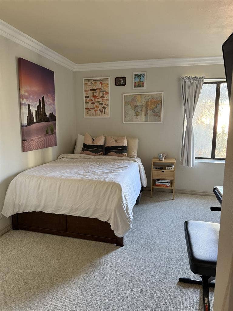 Looking for a female roommate!