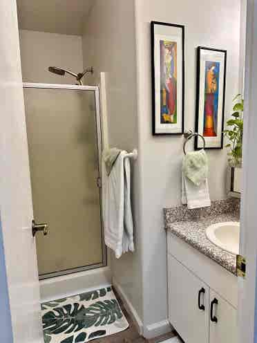 Pahoa, Hawaii furnished