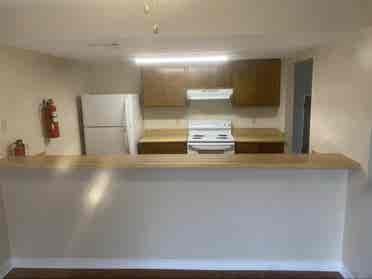 Looking for a roommate!