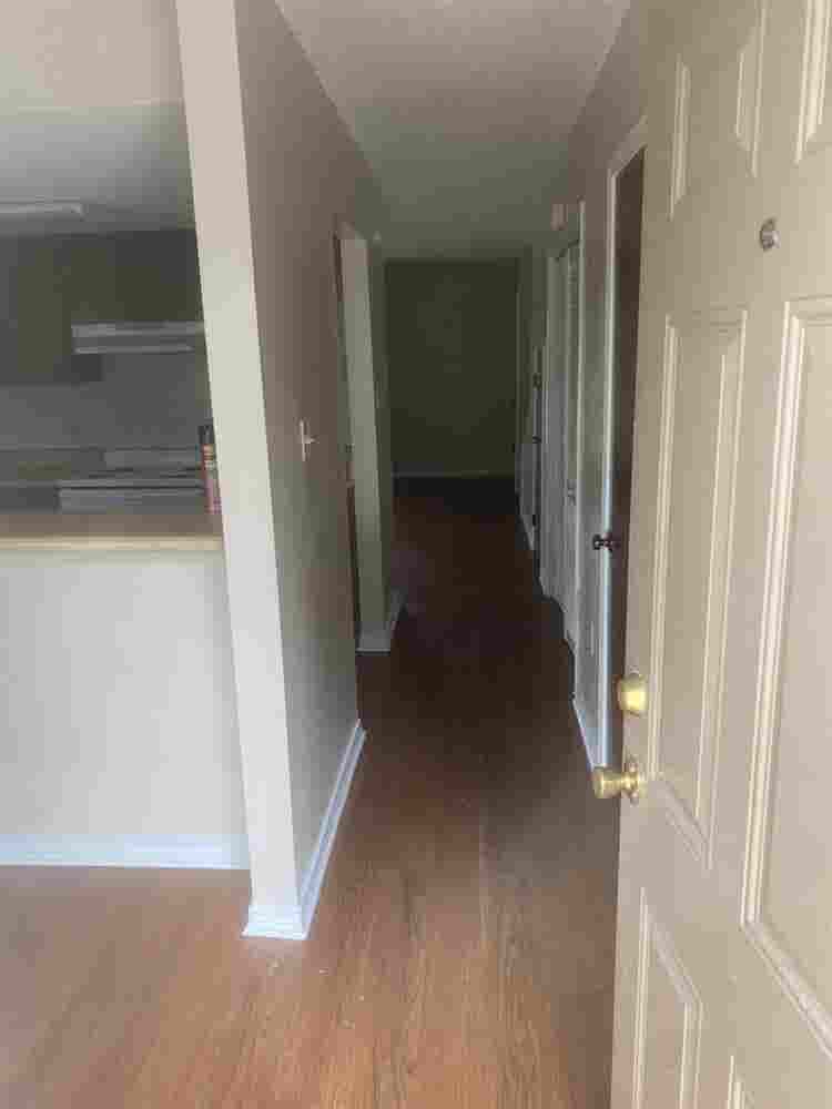Looking for a roommate!