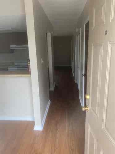 Looking for a roommate!