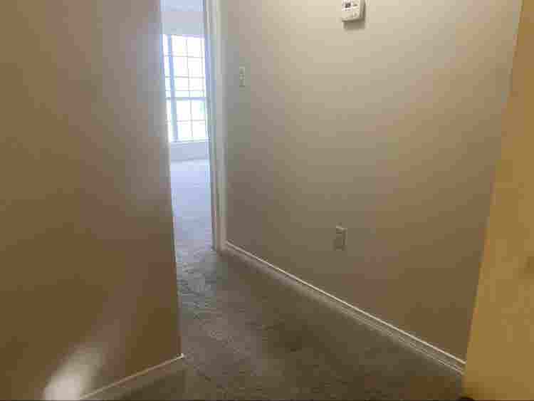 Looking for a roommate!