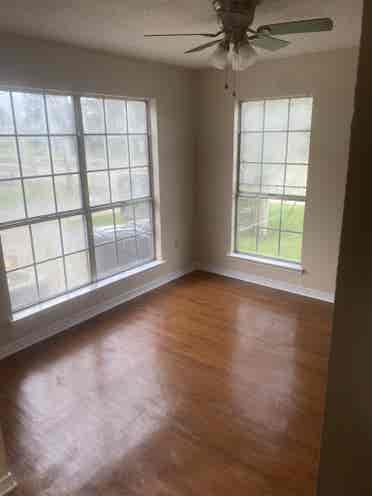 Looking for a roommate!