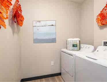 Beautiful room in south Tampa