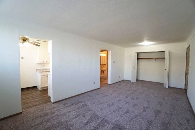 Looking for a roommate- July 1st!