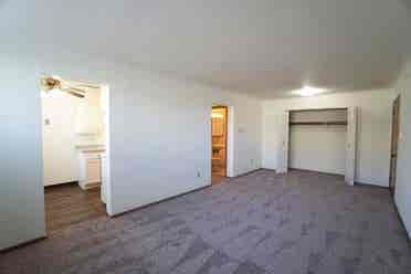 Looking for a roommate- July 1st!
