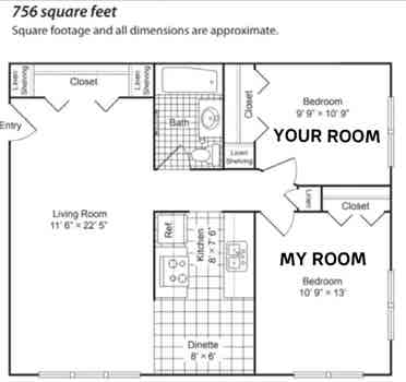 Looking for a roommate- July 1st!