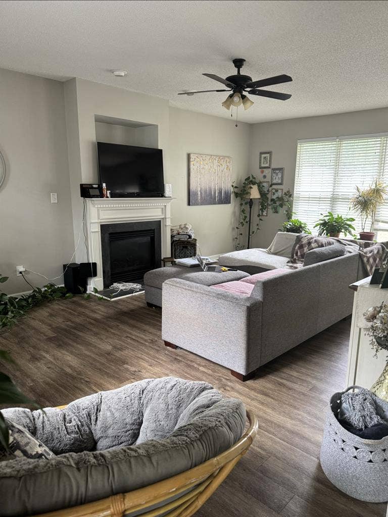 New Listing
