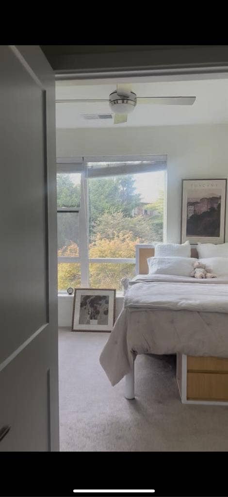 LOOKING FOR A FEMALE SUBLET