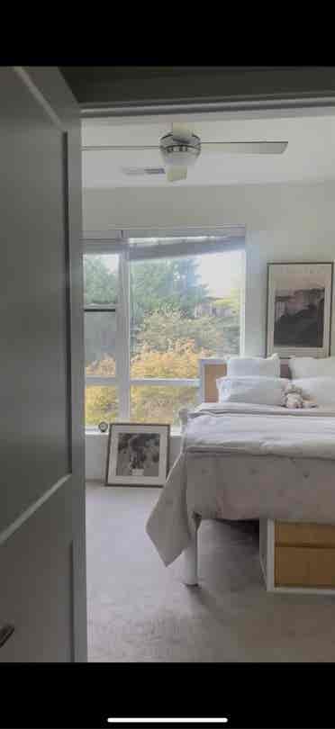 LOOKING FOR A FEMALE SUBLET