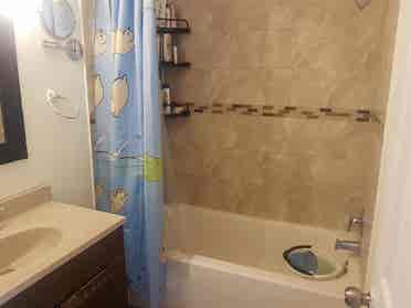 Female Roommate wanted in Brampton