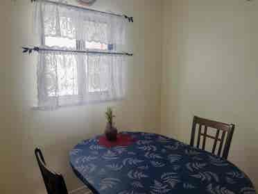 Female Roommate wanted in Brampton