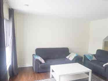 Female Roommate wanted in Brampton