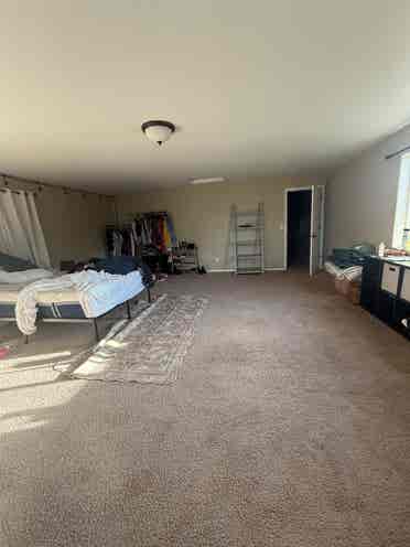 Looking for Roommates