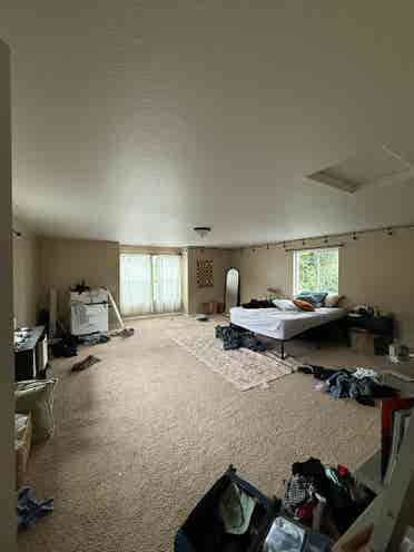 Looking for Roommates